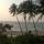 Viva Goa!! - Top 5 restaurant/lounge recommendations in North Goa
